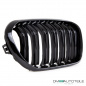 Preview: Kühlergrill Sport-Performance Schwarz Glanz passt für BMW 1er F20 F20 LCI 15-19